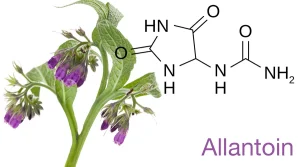 الانتوئین و 7 تاثیر شگفت انگیز آن بر پوست